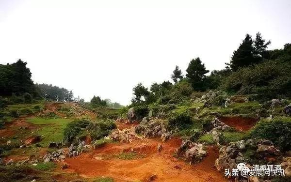 云南普者黑旅游攻略，云南省普者黑风景区旅游攻略（一处鲜为人知的神秘旅游景点——普者黑攻略）