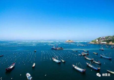 世界上有哪些渔场，世界上有几个渔场（天下“渔仓”——走进世界四大渔场）