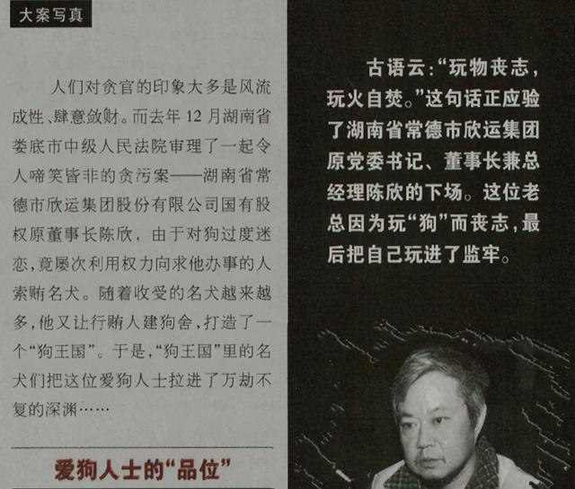 世界第一獒王2亿，中国藏獒十大獒王排名（泡沫是怎么破灭的）