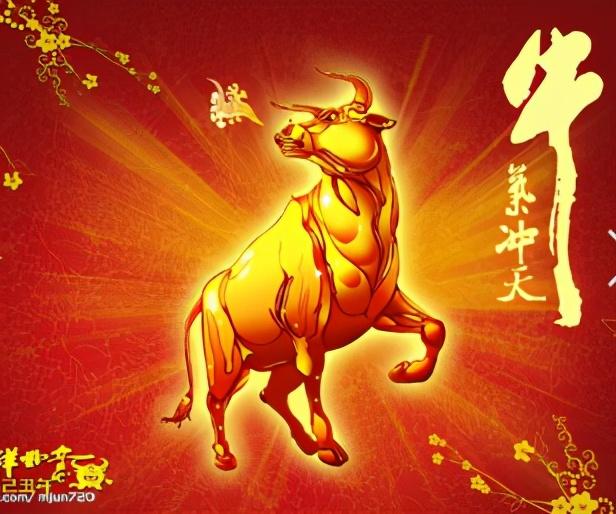 牛年的来历和风俗，关于牛年的来历（秦宝牛年说牛：牛气冲天的典故）