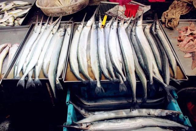 怎样做马步鱼，怎样做马步鱼汤（这种又细又长的鱼名叫“马步鱼”它既是海鱼又是河鱼）