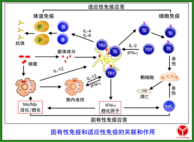 护理专业主要学什么，中职护理专业主要学什么（护理专业必学课程—重点和专业是什么）