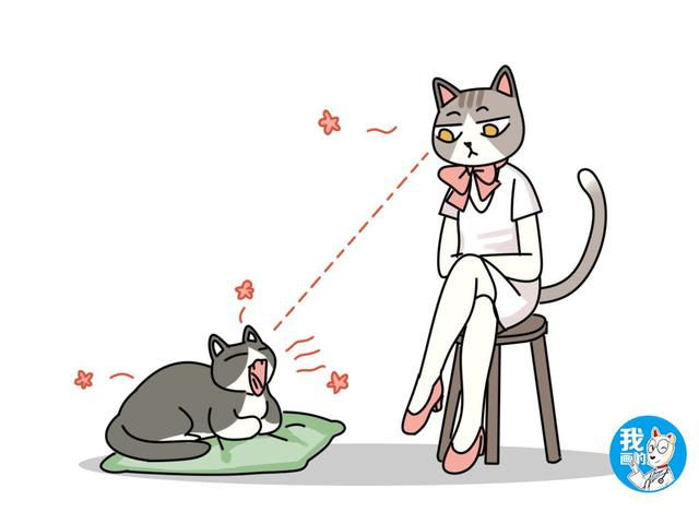 头发打结成一坨怎么办，头发打结成一坨怎么办乙醇（猫咪毛发易打结怎么办铲屎官很头疼）