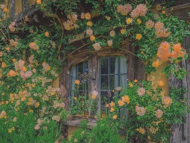 甜甜的情话文案，很甜很撩的情话句子（甜甜的情话文案合集）