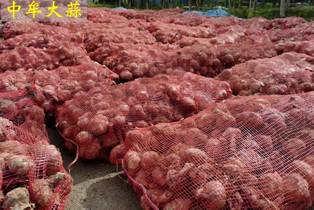 郑州特产有哪些土特产零食，郑州十大特产是什么（郑州十大名优特产）