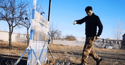 狸花猫是土猫吗，狸猫是土猫吗（那些年嘲笑狸花是小土猫的人）