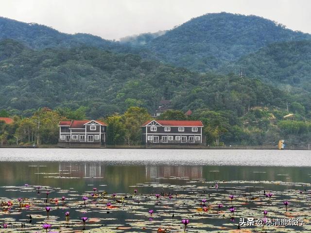 海南省乐东县属于哪个市，海南省乐东黎族自治县属于哪个市（冬天比海口暖和）