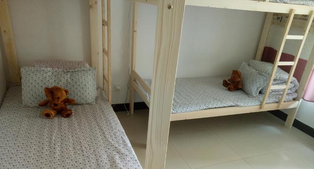 青旅是什么，青旅是什么样子的（19元一晚的青旅）