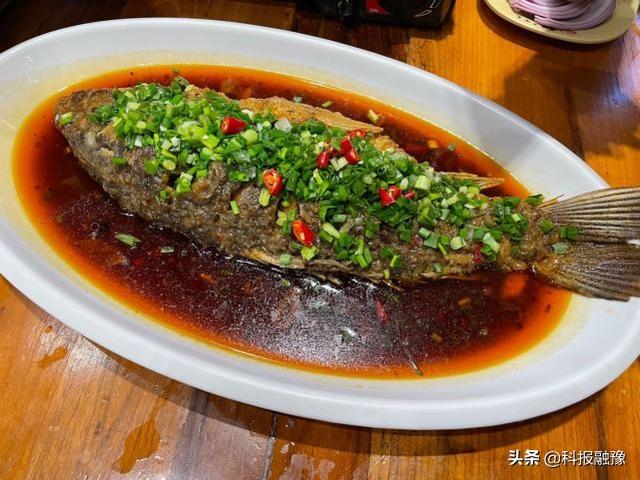 怎样炖羊三宝，怎样炖羊三宝最好吃（宴渠老烩面：触动无数人的味蕾）