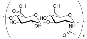 什么是玻尿酸，什么是玻尿酸天丝（你应该知道的玻尿酸常识）