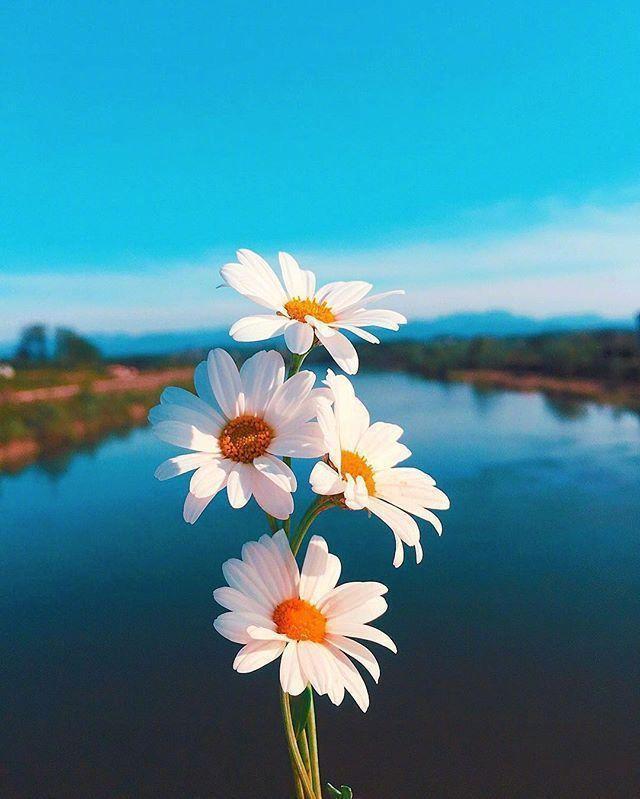 鼓励别人挣钱的话,鼓励别人挣钱的说说(早安心语赚钱感悟) 鼓励别人挣钱的话,鼓励别人挣钱的说说(早安心语赚钱感悟)