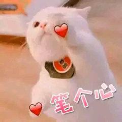 老师傅秘密珍藏的5个资源网站，都是不可言说的好资源，建议收藏
