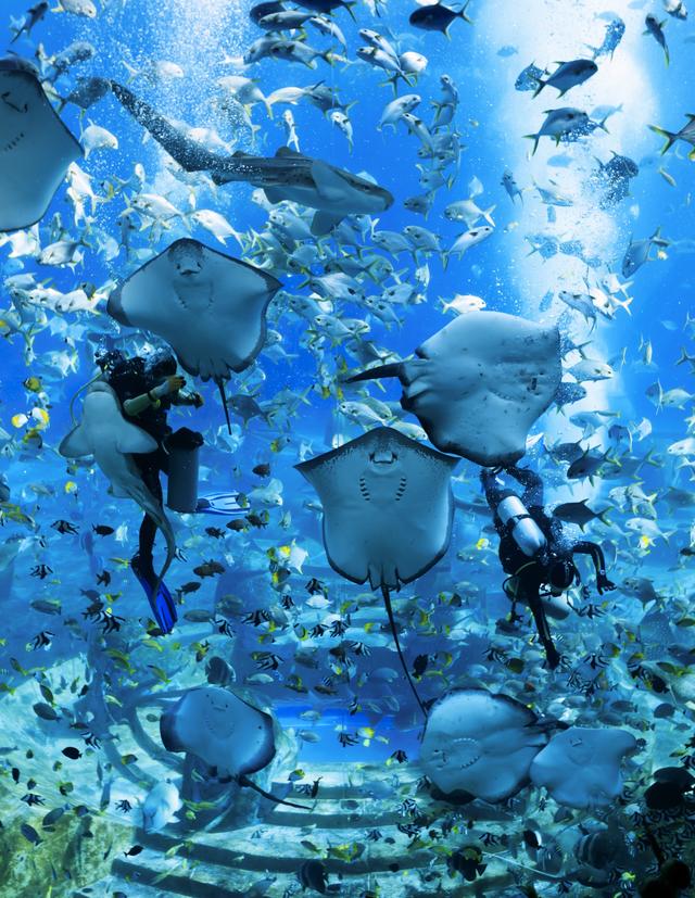 海南岛景点有那些，海南岛十大景点介绍（有八个精挑细选的美景）