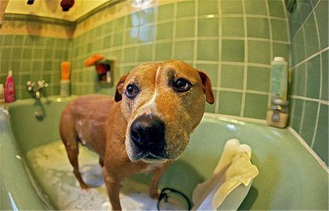 吹水机，不要再傻傻不知道了（吹水机使用方法）