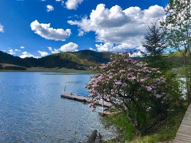 达那是哪里的城市，达拉是哪个国家的城市（距香格里拉约22公里）