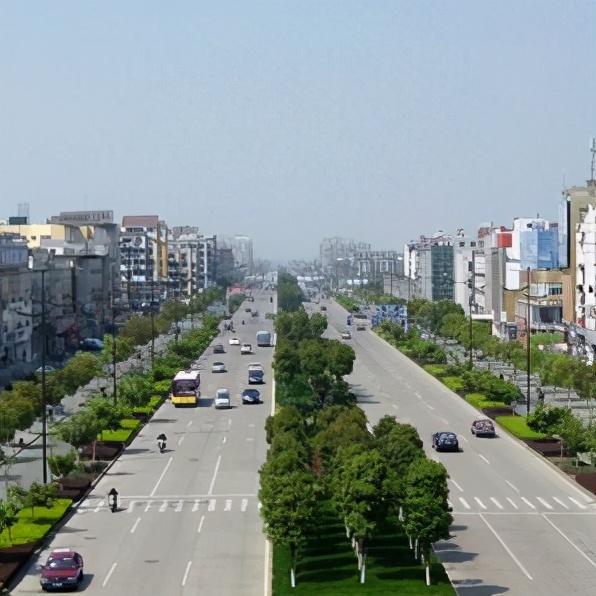 海桐小毛球多少钱一棵，海桐球1.2米的价格（宁马城际铁路再传新进展）