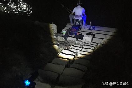 夜钓头灯四度遇奇事：神秘光晕、鱼群异动、水下低语与莫名寒意接连上演