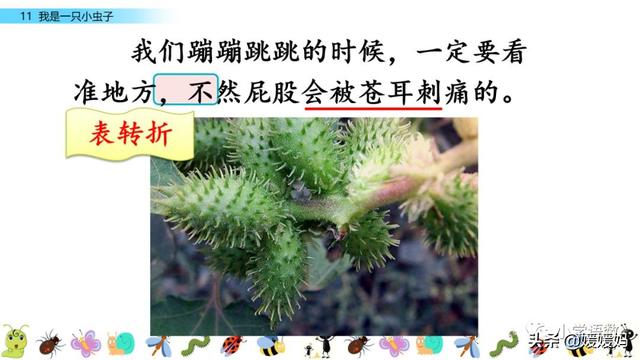 呀组词，呀的多音字组词（二年级下册语文课文11《我是一只小虫子》图文详解及同步练习）