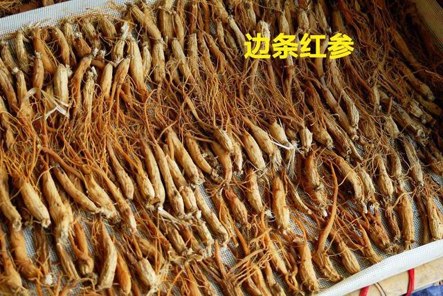 买红参怎么挑选 红参怎么保存最好，买红参怎么挑选（长辈滋补最佳红参怎么挑）