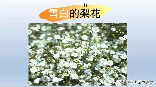 太多的拼音，太多的拼音怎么写的（部编语文一年级下册4、四个太阳+朗读+知识点+图文解读）