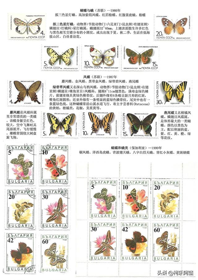 蝴蝶和蛾子的区别，蝴蝶和飞蛾有什么区别（鳞翅目昆虫-蝴蝶与蛾）