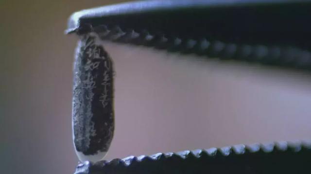  稻米之路纪录片野生稻，但我是“有故事”的稻米 