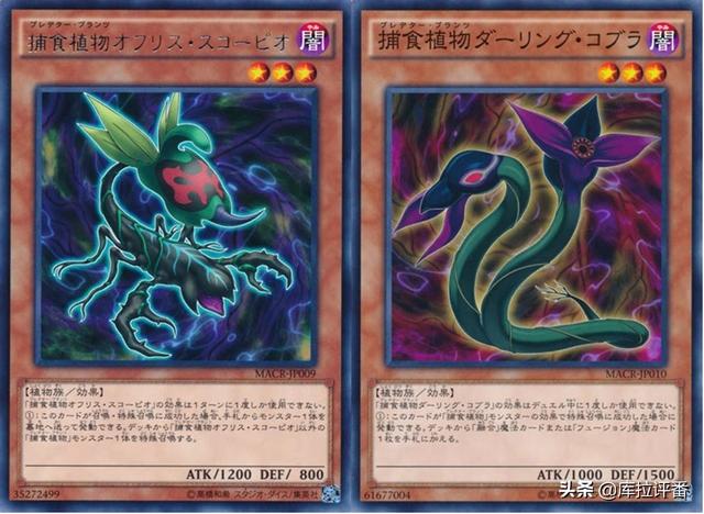 游戏王真红眼龙骑士卡组，黑魔导把真红眼黑龙做成了背包