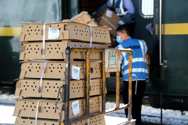 t269次列车时刻表，t269次列车时刻表西安到阿克苏（嘉峪关车务段认真做好进疆防疫物资运输工作）