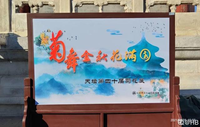 荷花有几种颜色，莲花有几种颜色分别是象征什么（1盆菊花售价1.2万）