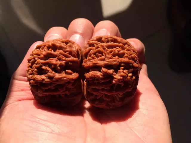 核桃怎么盘玩效果最好，盘玩核桃的正确方法（文玩核桃这样盘玩才会红得快）