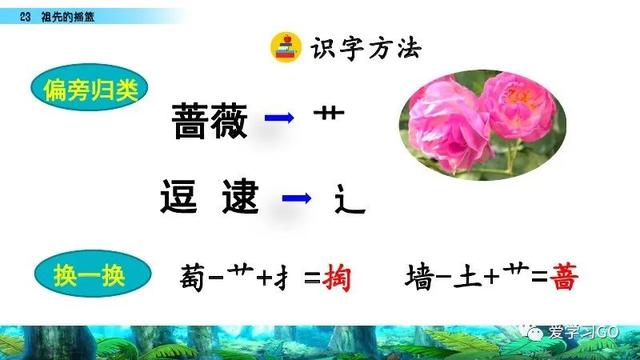赛跑的拼音，赛跑的拼音怎么读（部编版二年级下册第23课《祖先的摇篮》知识点+图文讲解）
