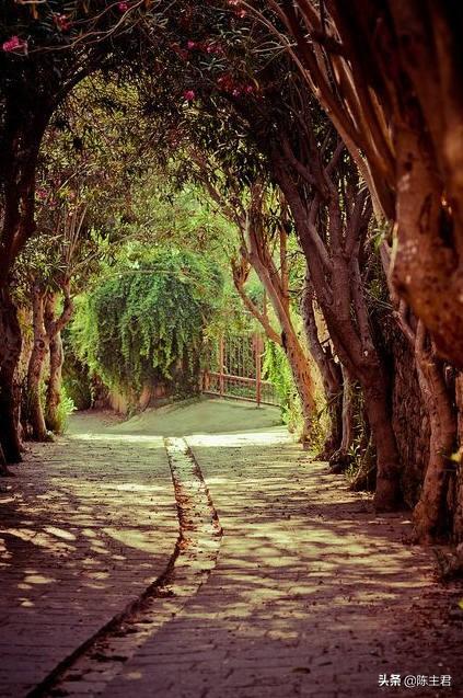 内蒙古人所说的风季是哪个季节，蒙古人的风季是什么季节（中国历史地理常识大全）