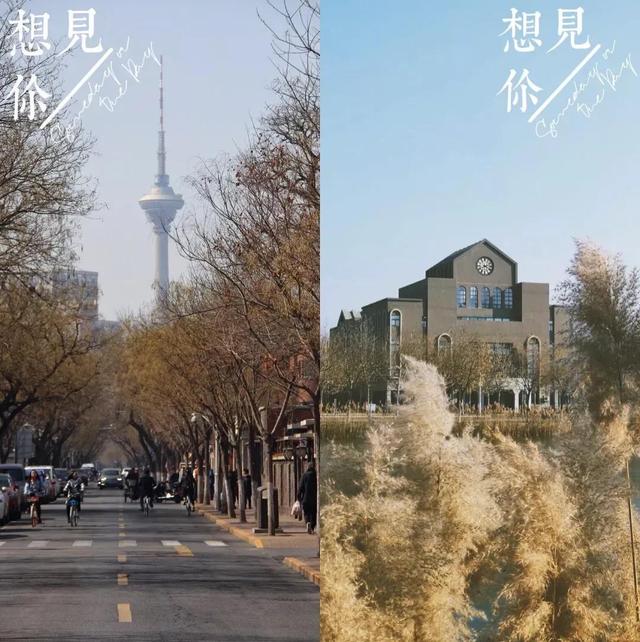 南开大学滨海学院是几本，南开大学滨海学院排名多少是几本（<一>南开大学滨海学院）