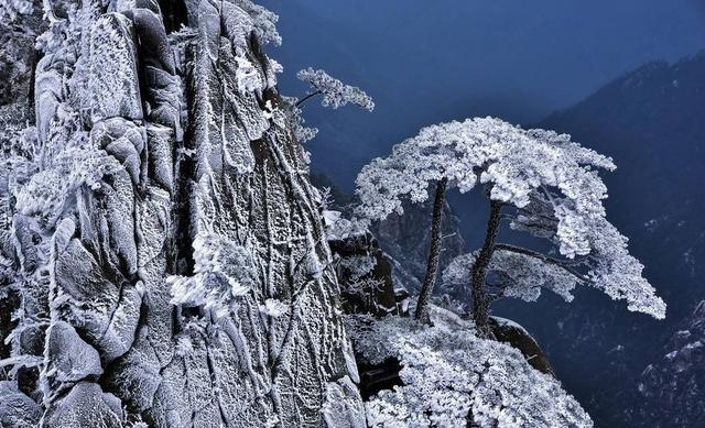 松的诗句，梅的诗句有哪些（待到雪化时—那些关于松与雪的诗词）