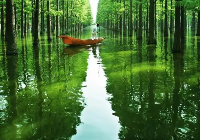 新洲旅遊景點有哪些,新洲區景點(蔡甸,江夏,新州旅遊景點大盤點)