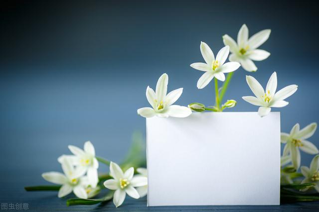 教师节的名人名言，教师节名人名言（用这些诗句表达对老师的感谢显得真高雅）
