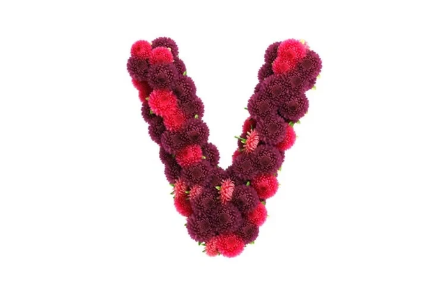 玫瑰花唯美ins风景清新意境美图，ins玫瑰图片复古风（摄影中的花之美）