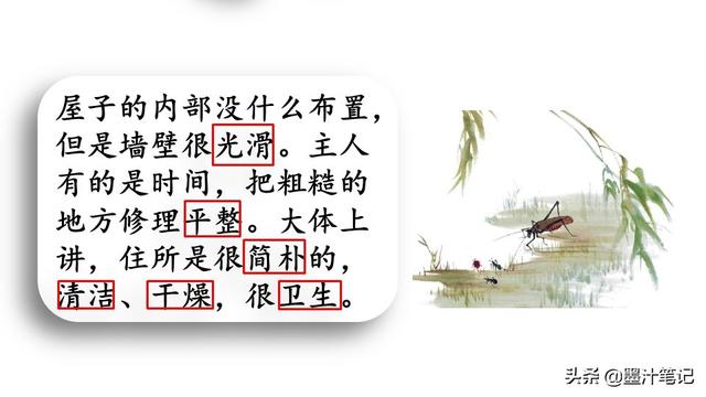 蟋蟀的住宅指的是什么，蟋蟀的住宅 是指什么（第三单元《蟋蟀的住宅》课文讲析）