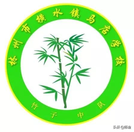 少先队中队名称取什么好，小学少先中队名称、口号和励志班歌
