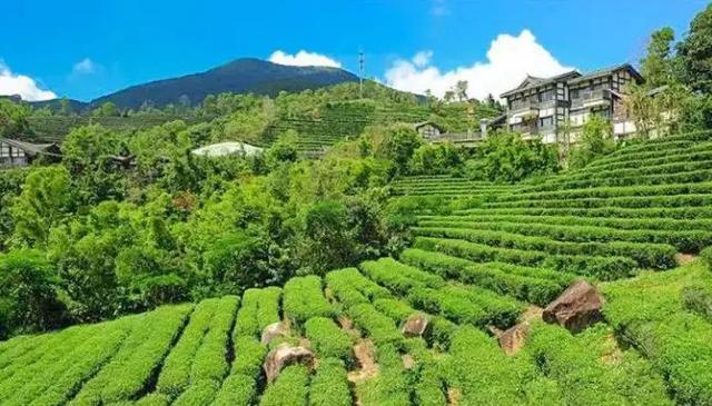 东部华侨城大峡谷，东部华侨城大峡谷人造瀑布叫什么（东部华侨城暑假欢乐曲）