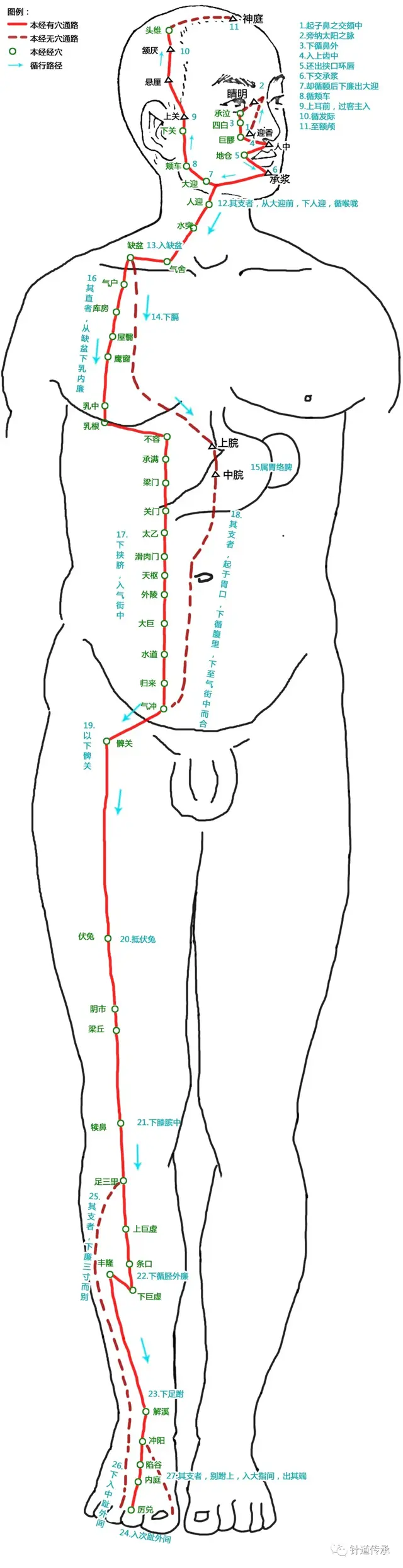 十二经脉歌诀必背，十二经脉流注次序歌诀必背（这篇十二经脉解读汇总全告诉你）