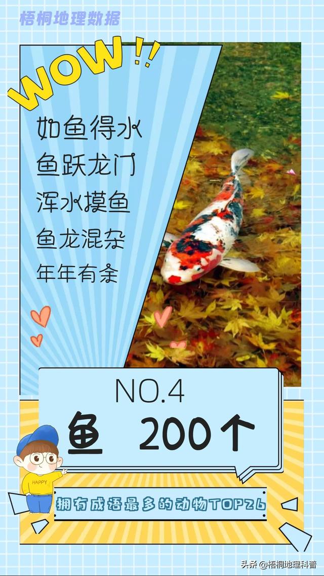 关于猫的词语有多少个，关于猫的词语有多少个词语（盘点哪种动物拥有的成语最多）