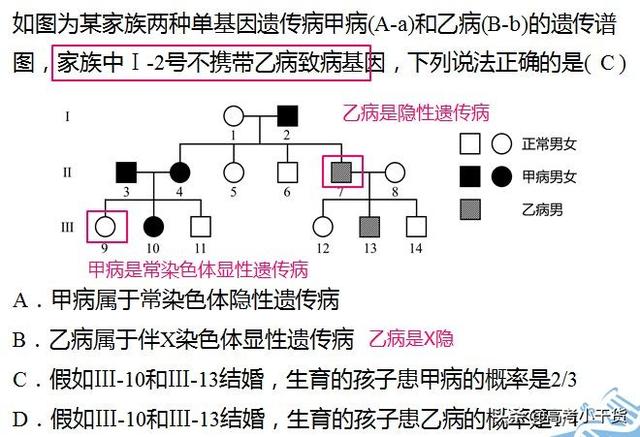 什么是基因的遗传信息，什么是基因的遗传信息传递（<基因、遗传篇>建议收藏）
