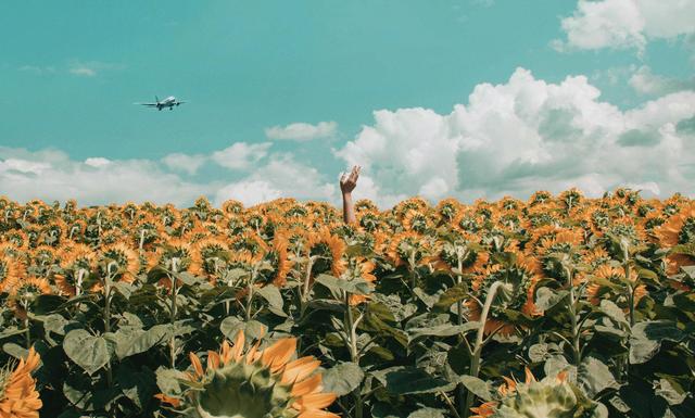 捞仔广东话是什么意思，捞仔用粤语怎么说（那些个背井离乡的外地人）