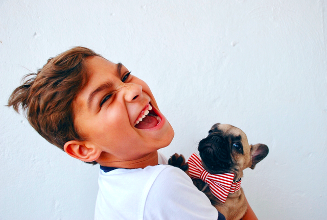 joy什么意思，love and joy什么意思（开心只会说“Happy”）