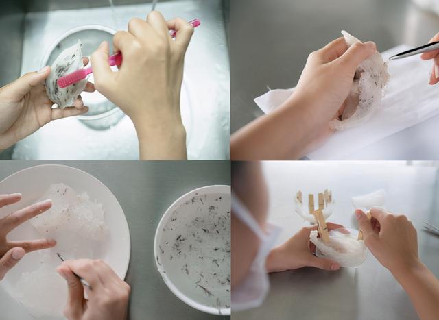 假燕窝和真燕窝区别，真燕窝与假燕窝的区别（如何辨别“真假”燕窝）