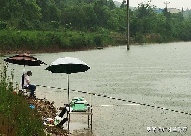 水库钓鱼的方法和技巧，水库钓鱼的方法和技巧视频（水库钓鱼掌握这些心得）