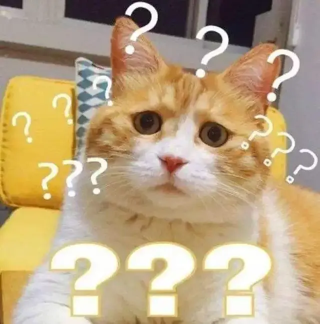 猫咪可以喝温水吗，猫咪能喝煮开的水吗（天冷了，猫咪也要多喝热水）