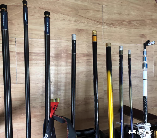 新手怎么学习钓鱼，快速学会钓鱼（应该要知道的5个真相）