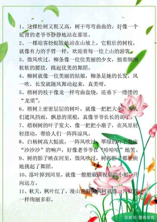 唯美写景的万能开头，写景作文的开头优美句子（写景作文的相关技巧）